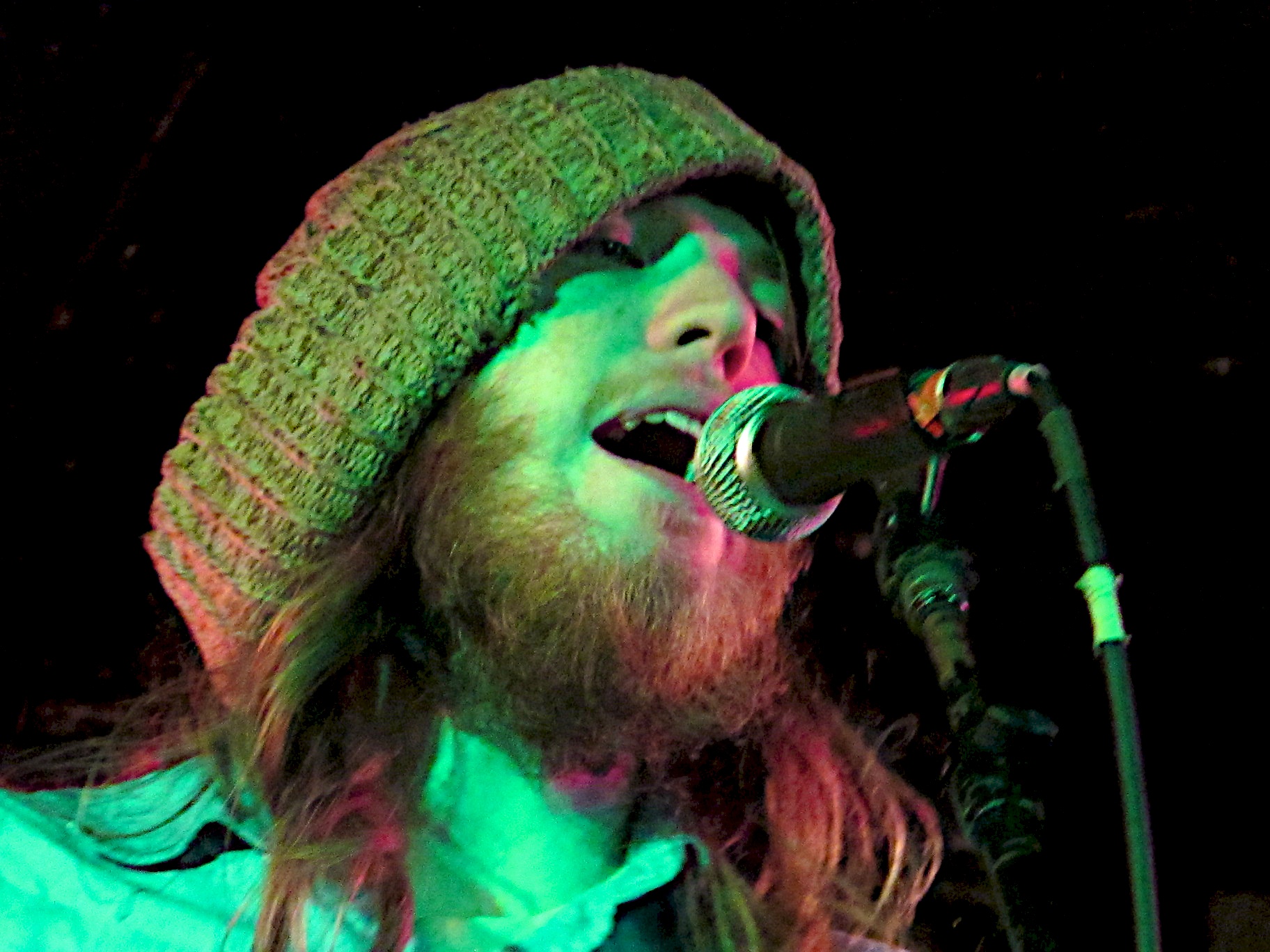 a bearded man singing into a microphone at a concert