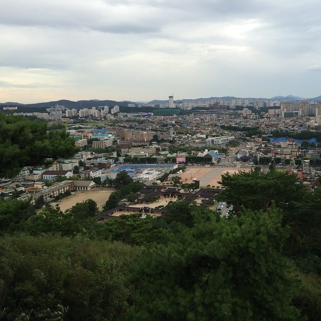 the city from a hill with trees in the foreground