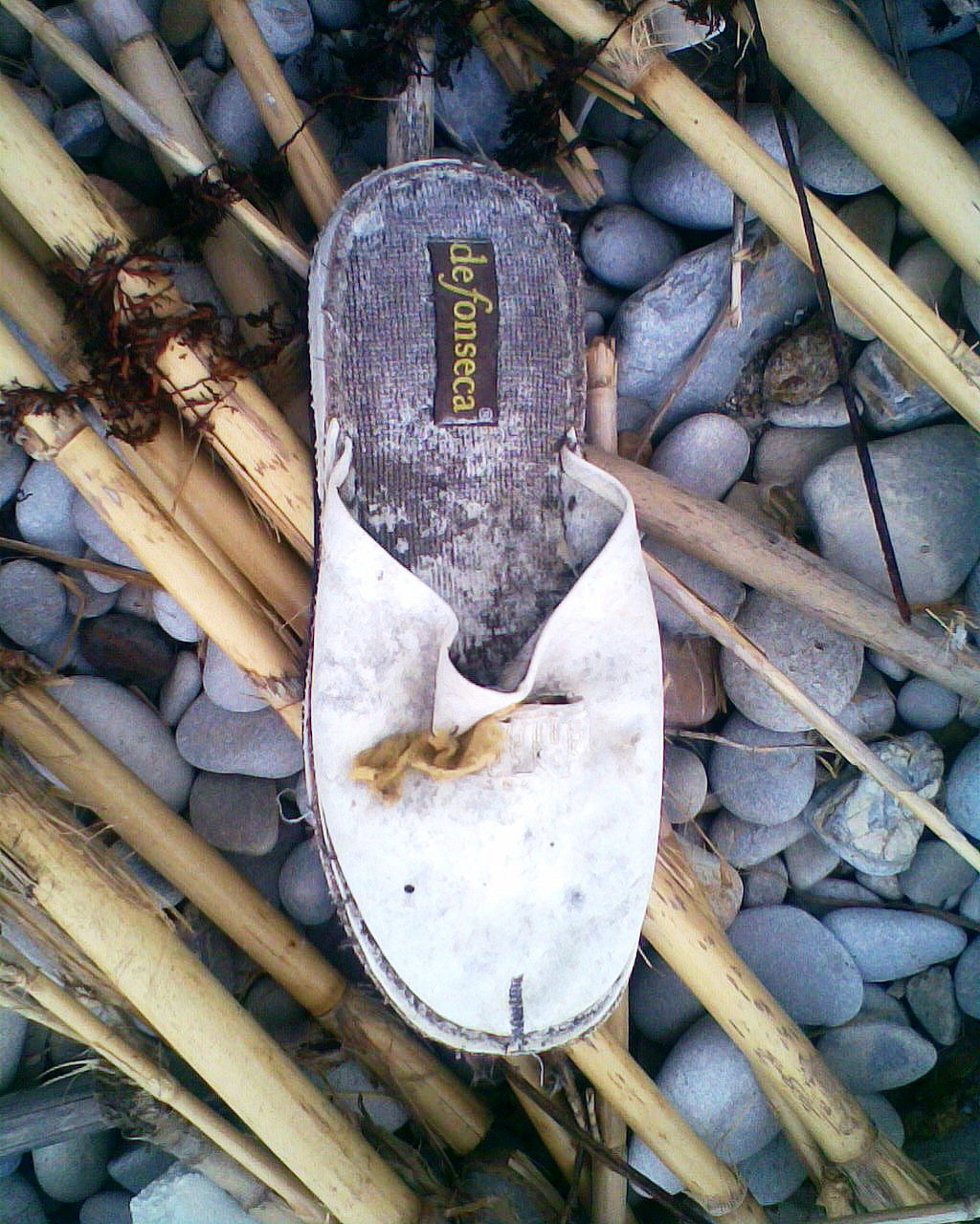 the worn shoe is on the rocks among the tall grasses