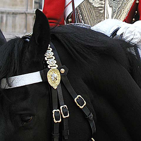 a royal horse with a uniform on, standing in front of a building