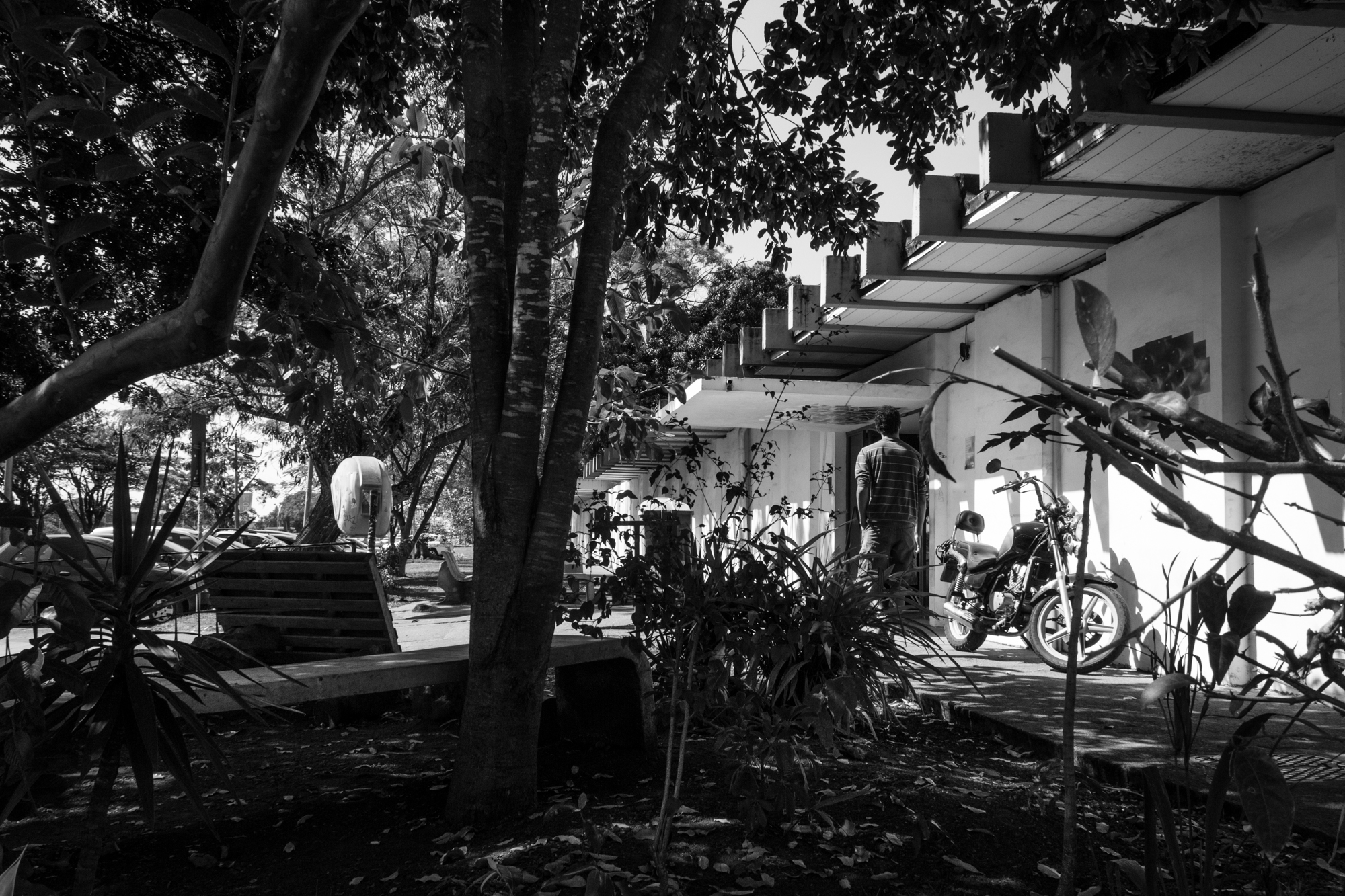 black and white pograph of patio with tree and walkway