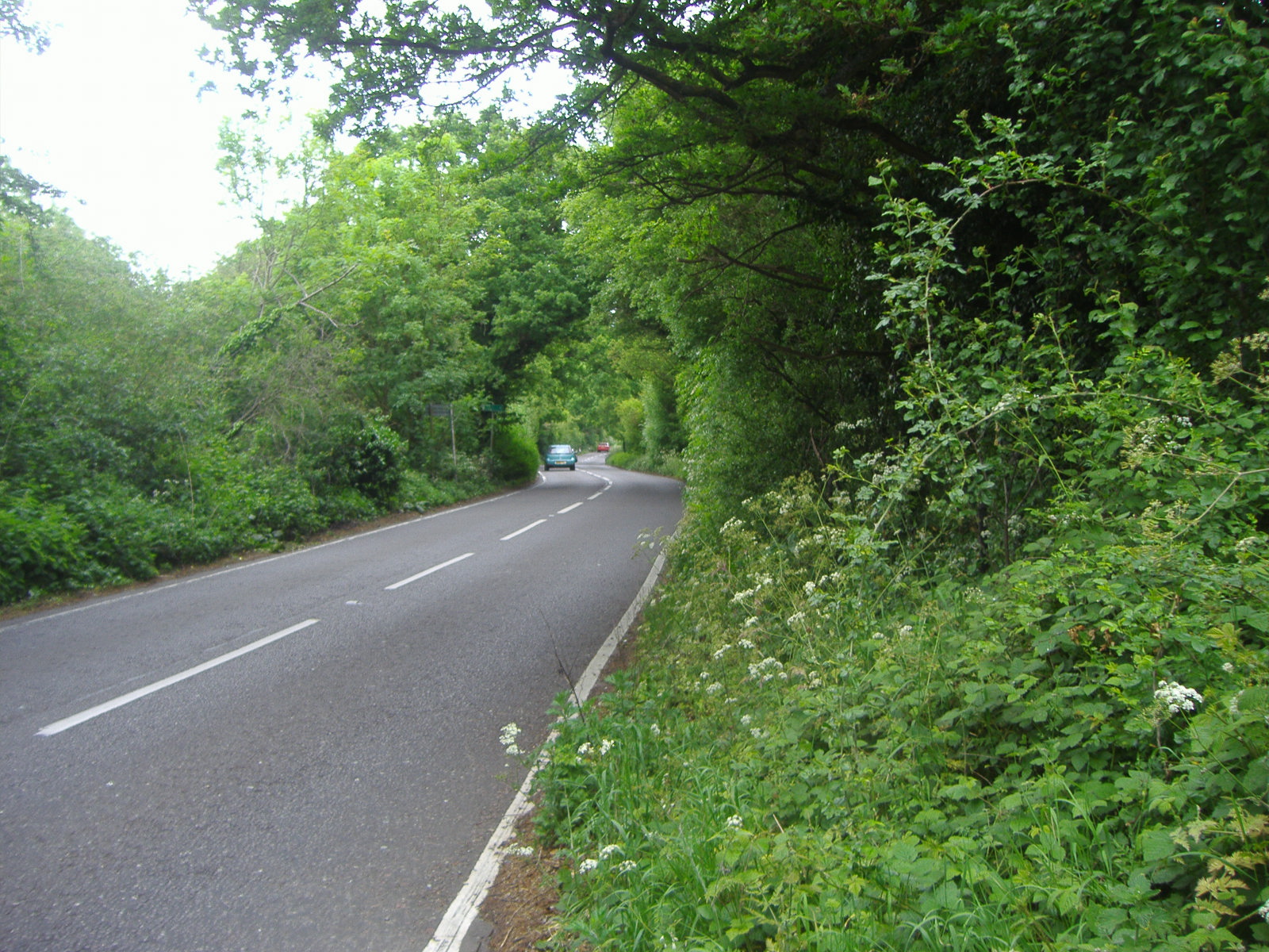 two cars travelling down a small road in the woods