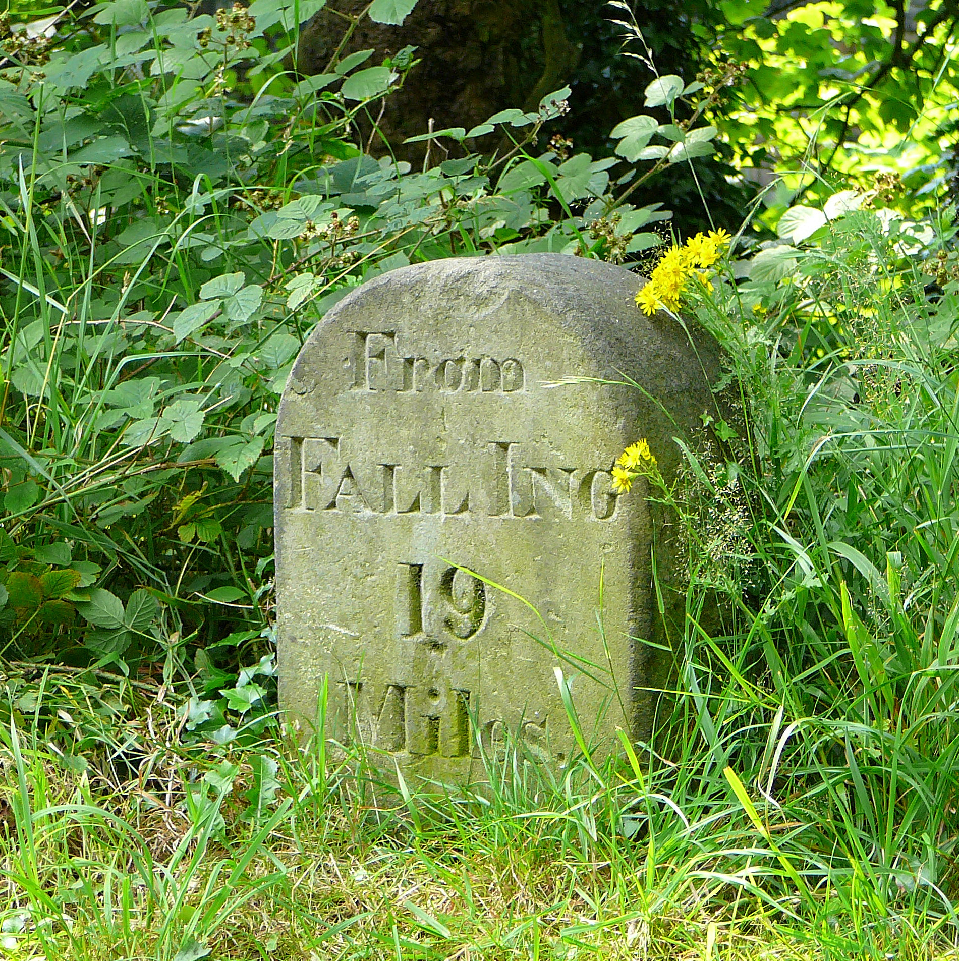 a grave surrounded by tall grass with an inscription on it