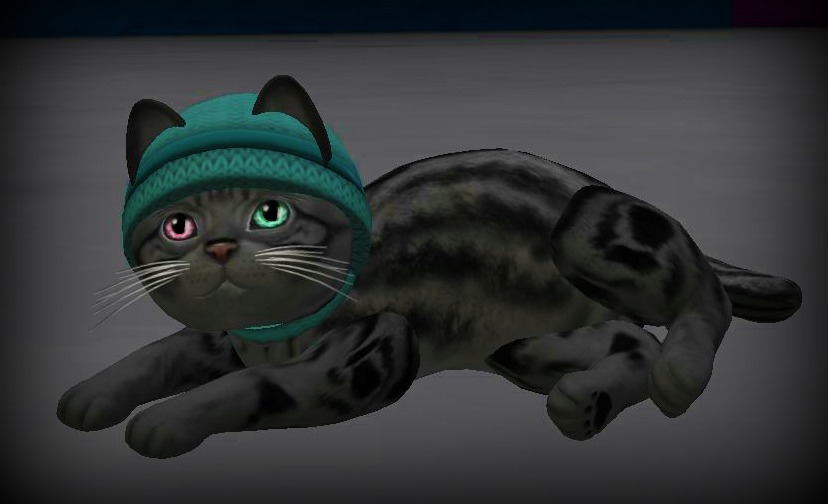 a cat is in an animation wearing a blue cap