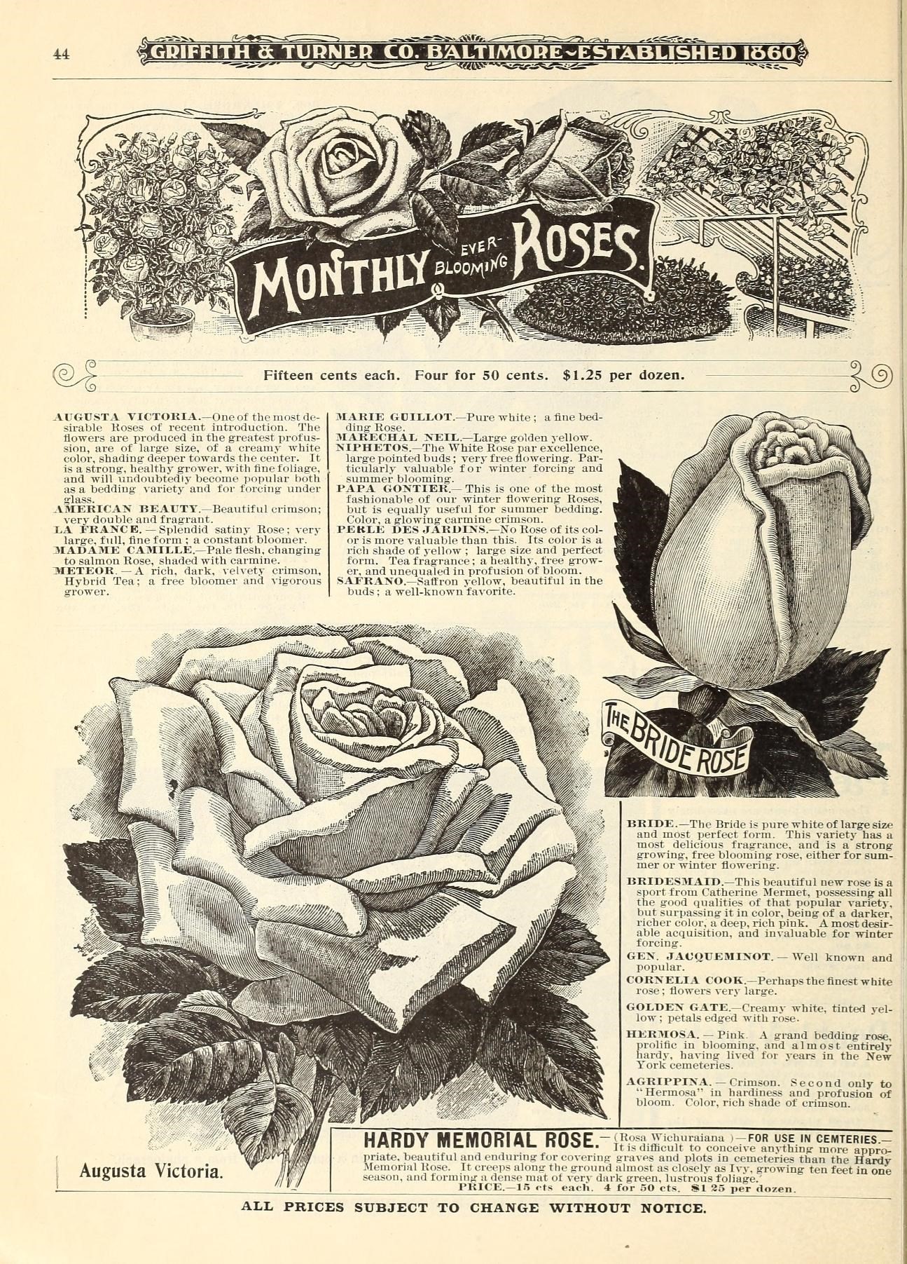 the rose book is open on a page