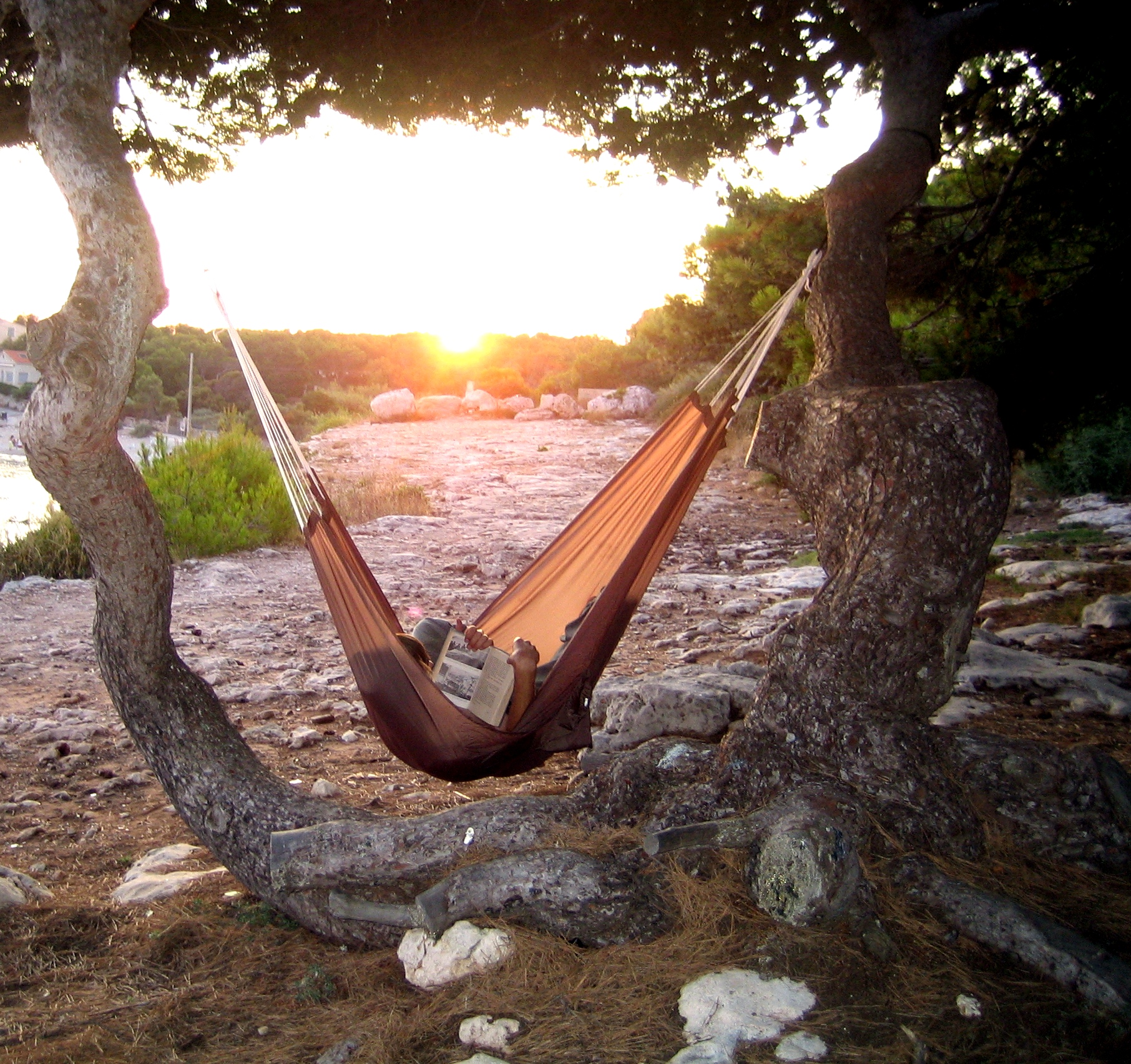 a hammock in the tree with a view of a rocky river at sunset