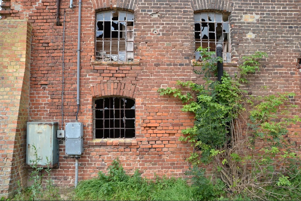 there is a brick building with windows and vines growing inside