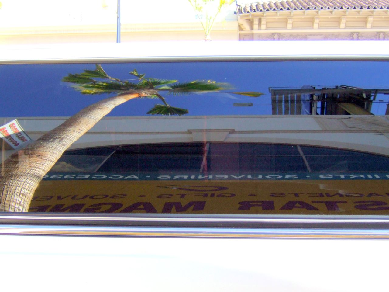 a store reflected in a window with palm tree and store name