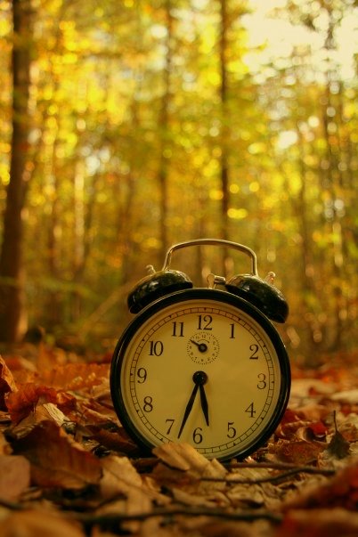 an alarm clock sitting on the ground in the woods