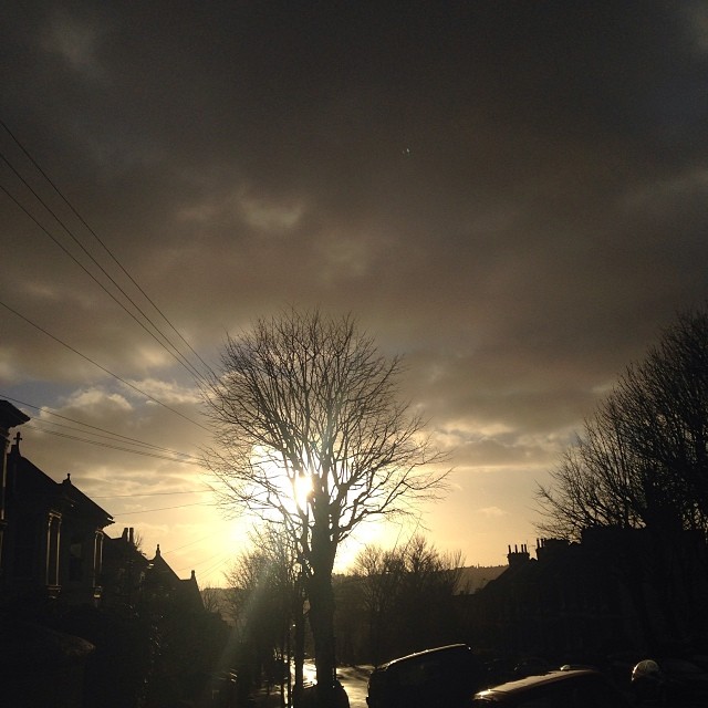an image of sun setting over town by the trees