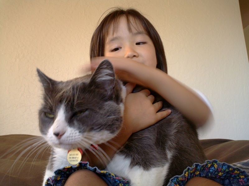 a little girl holding on to a cat that is laying down