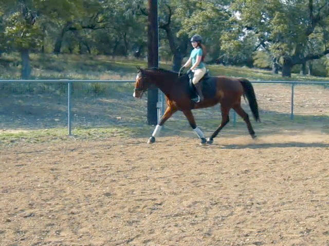 the girl is riding her horse in an open area