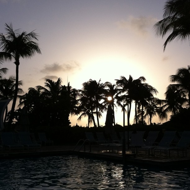 the sun is setting on a cloudy day in front of palm trees