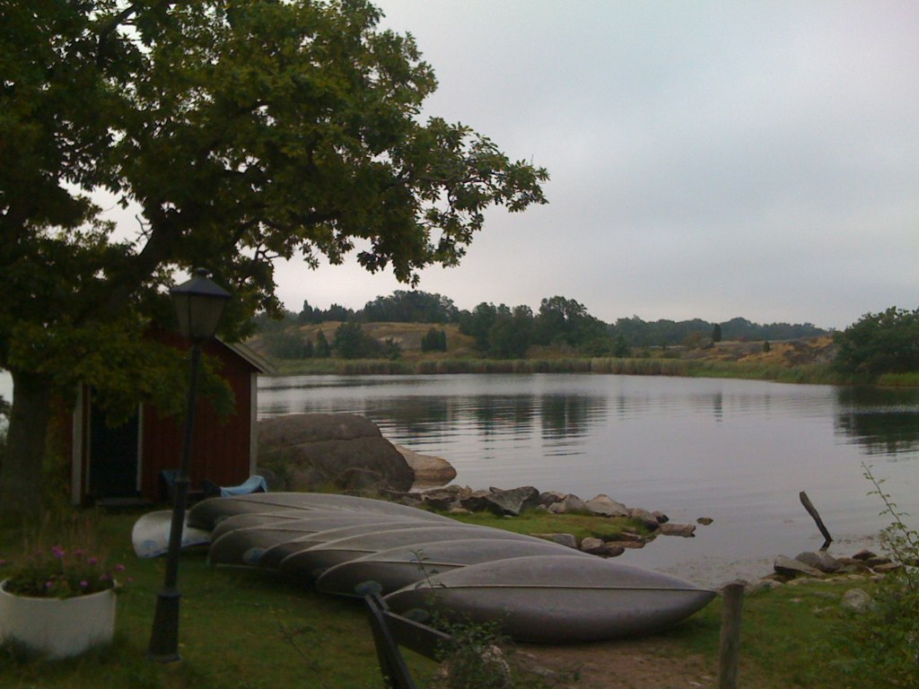 a bunch of large canoes that are laying on the ground