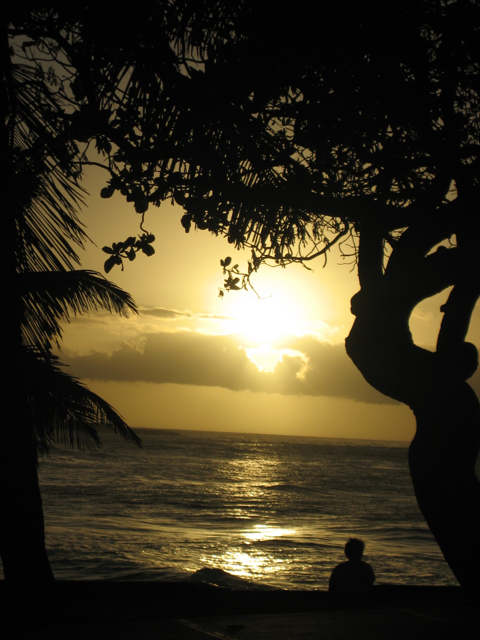 the sun is setting over the ocean with trees