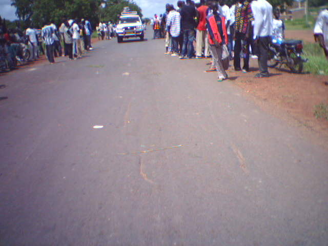 a crowd of people lined up in a long line on the side of a road