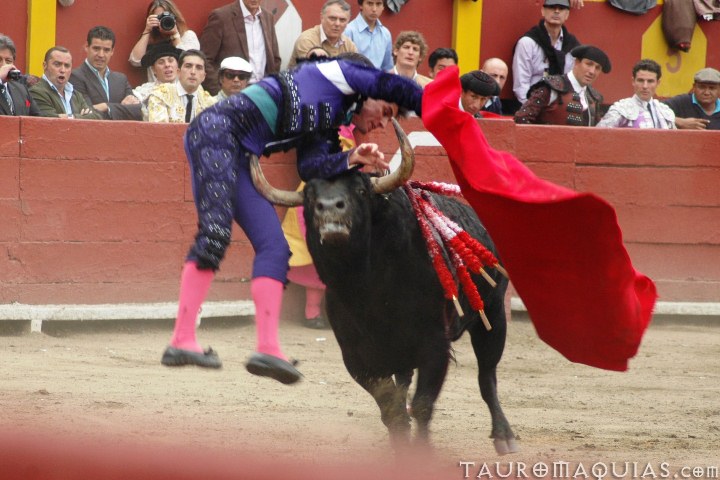 the mata performs during a bullfight while people watch