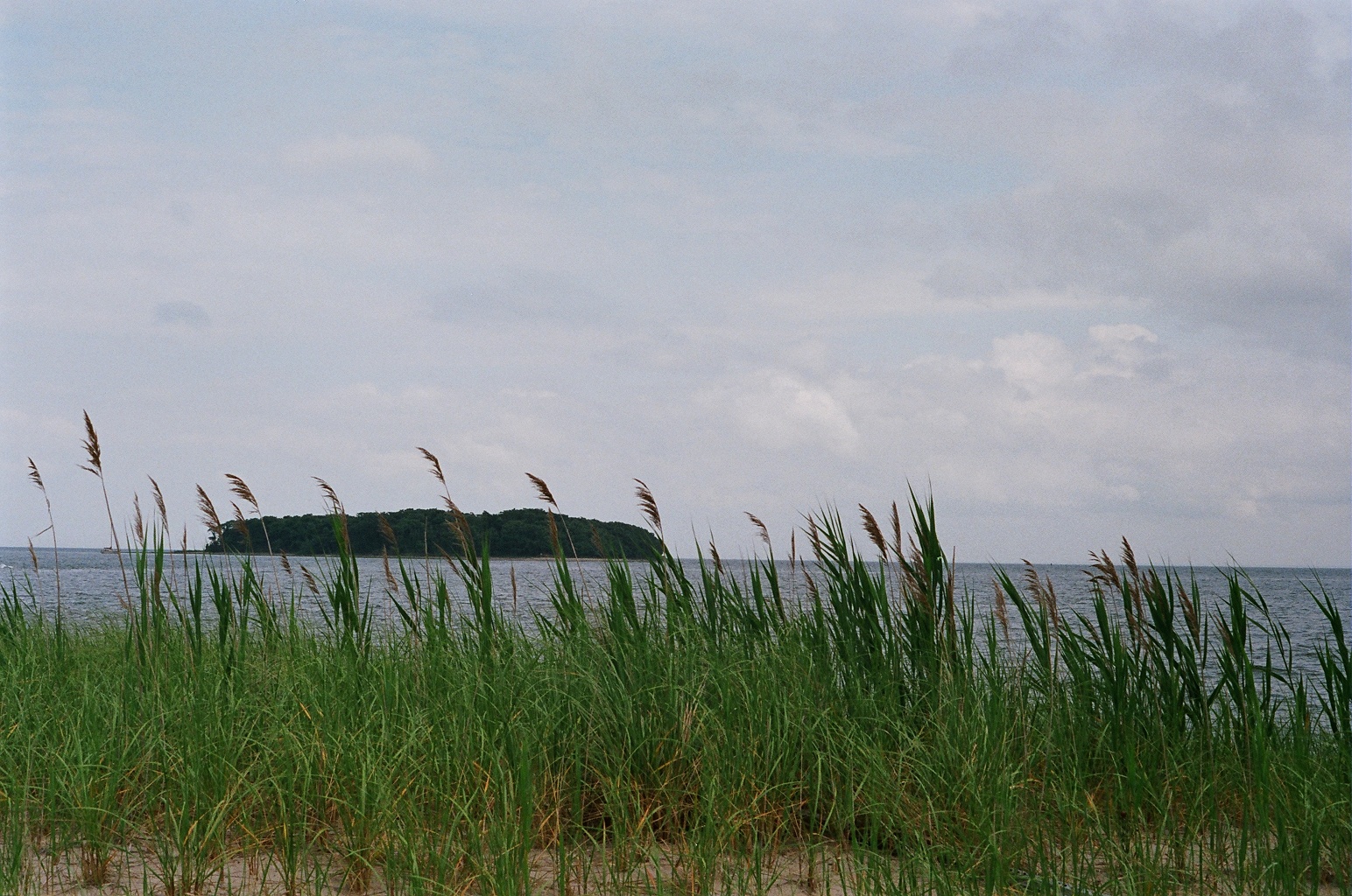 large grassy area next to water near the beach