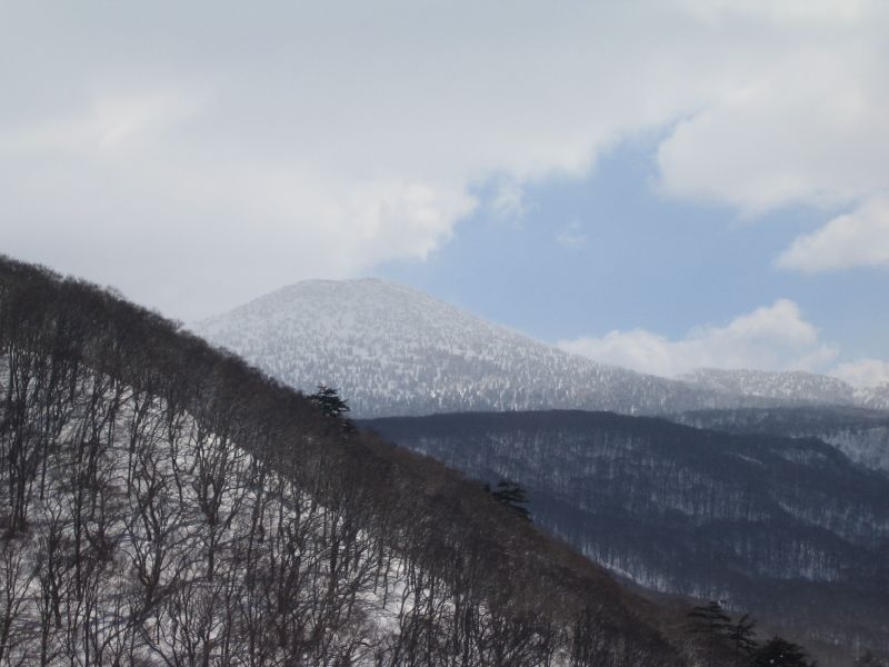 the snow is piled on a high mountain near trees