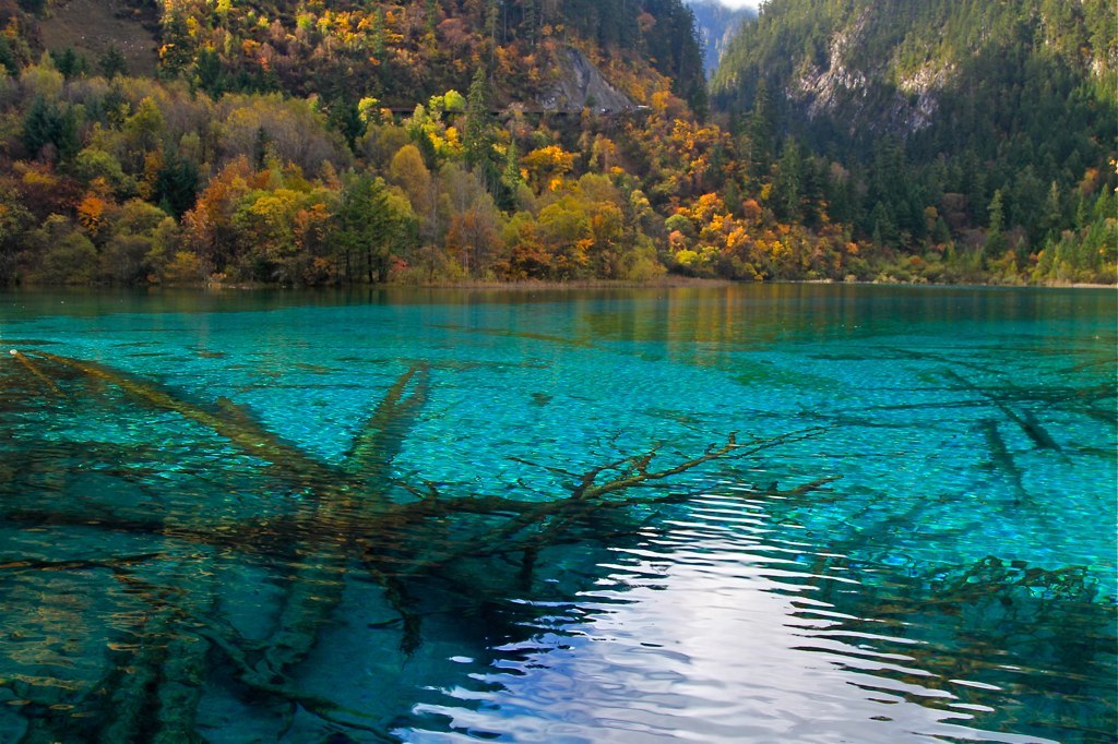 clear lake with many blue pools, surrounded by trees and mountains