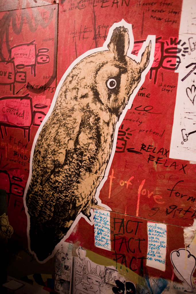 a wall has grafitti and a little owl on it