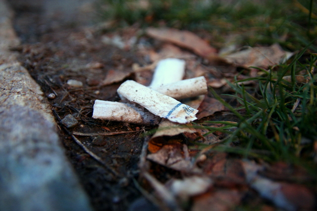 a group of small white cigarette shells laying on the ground