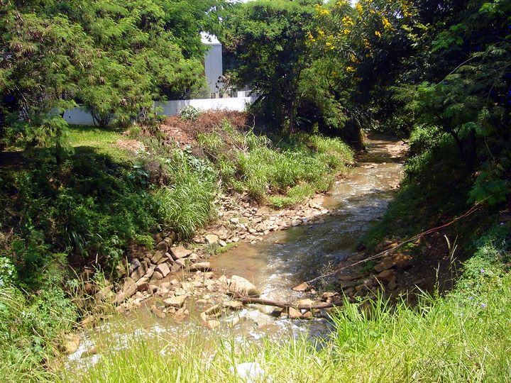 the stream flows into a rocky valley surrounded by greenery