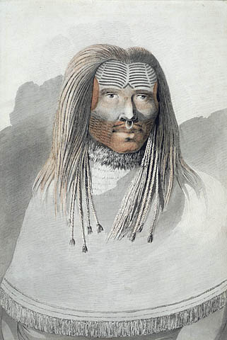 an image of a native american man with long hair