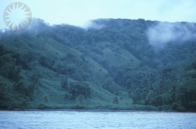 a forested mountain and river side near the shore