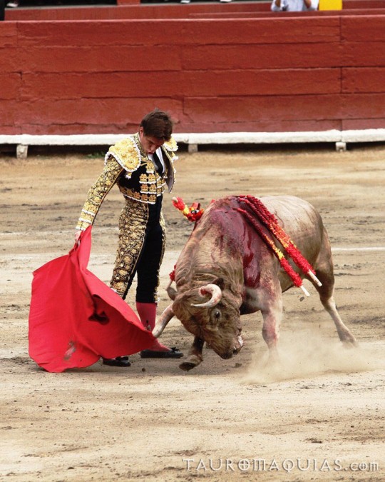 an mata mata with the bull is trying to tame him