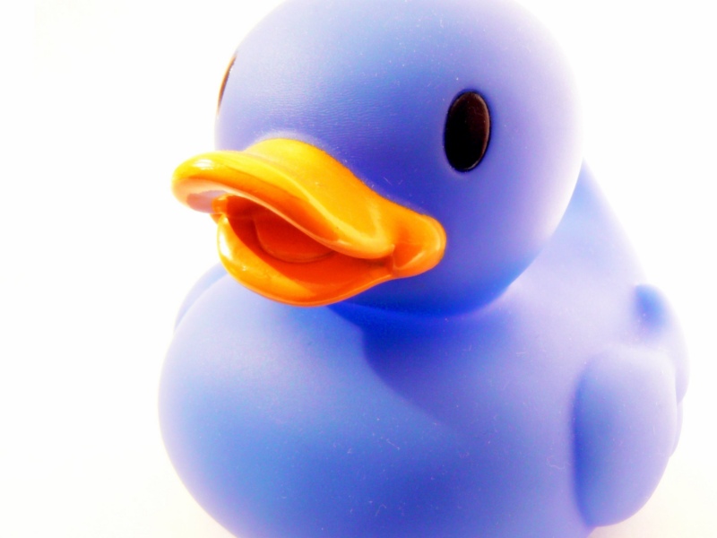 a blue rubber toy duck that is sitting down