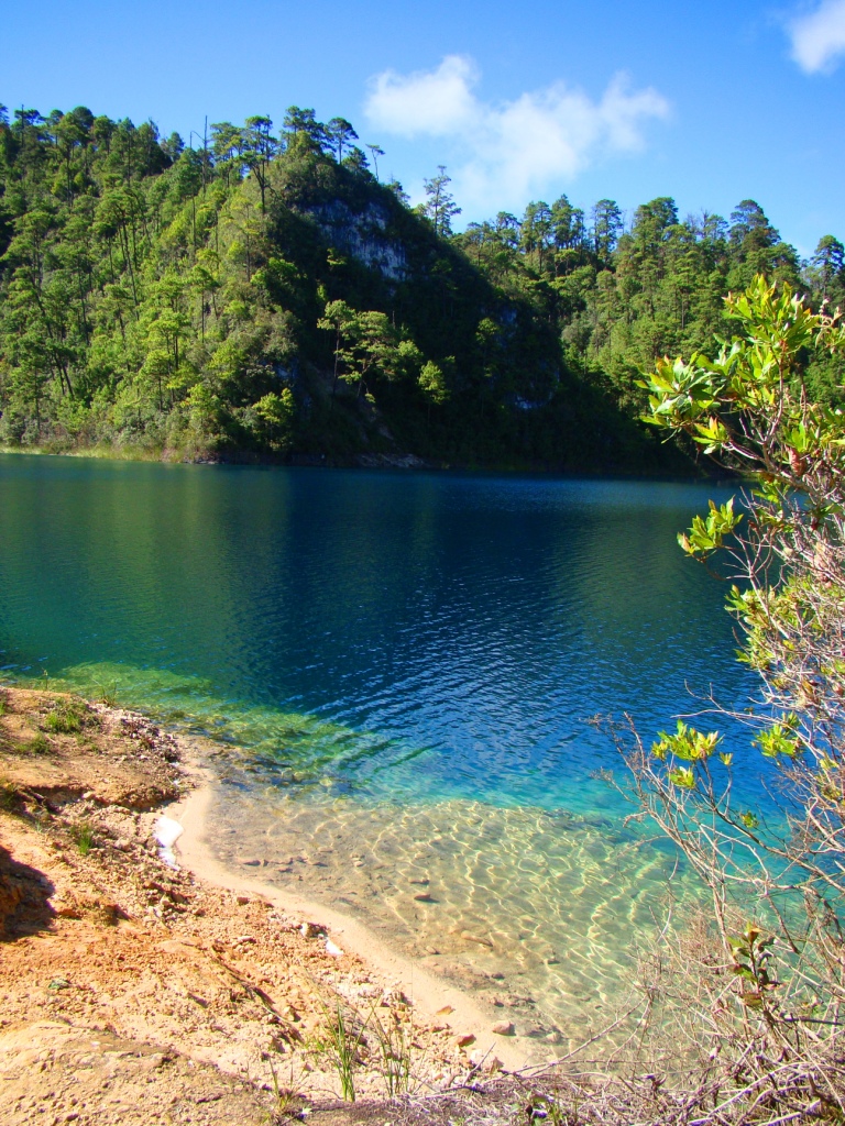 clear waters sit on the shore of a forested area