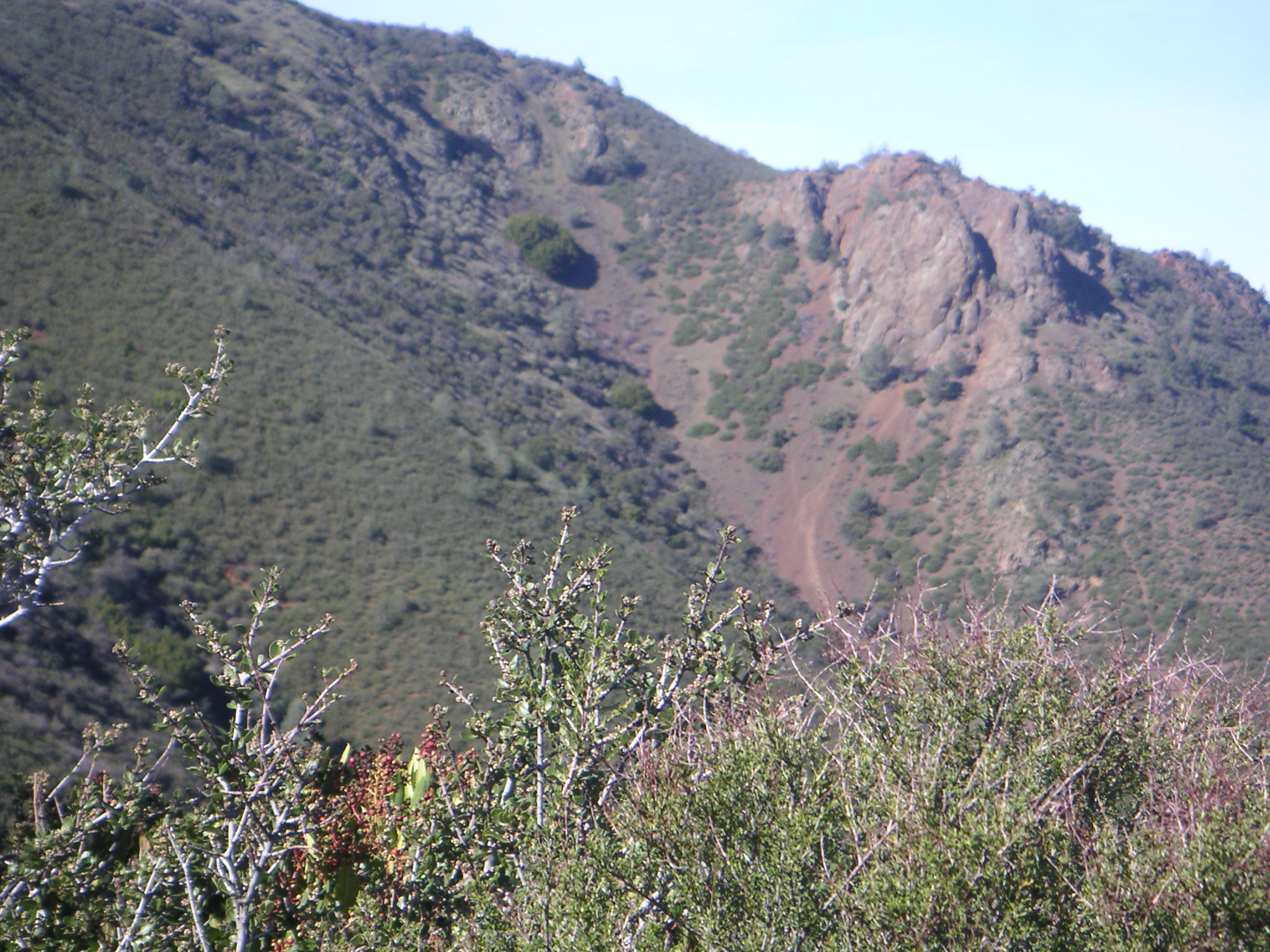 some bushes trees and mountains under a blue sky