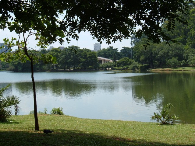 a view of the river with trees and grass in the foreground