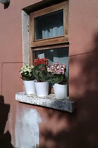 a window with three flowers sitting in it
