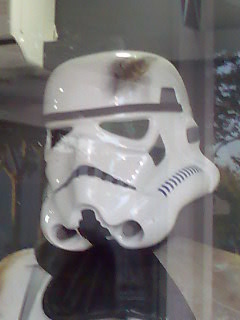 storm trooper mask mounted on display at indoor exhibit
