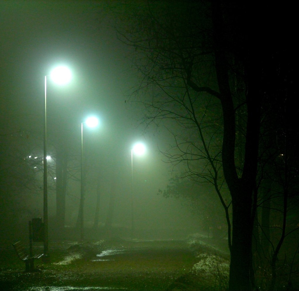 foggy street lights shining over the grass