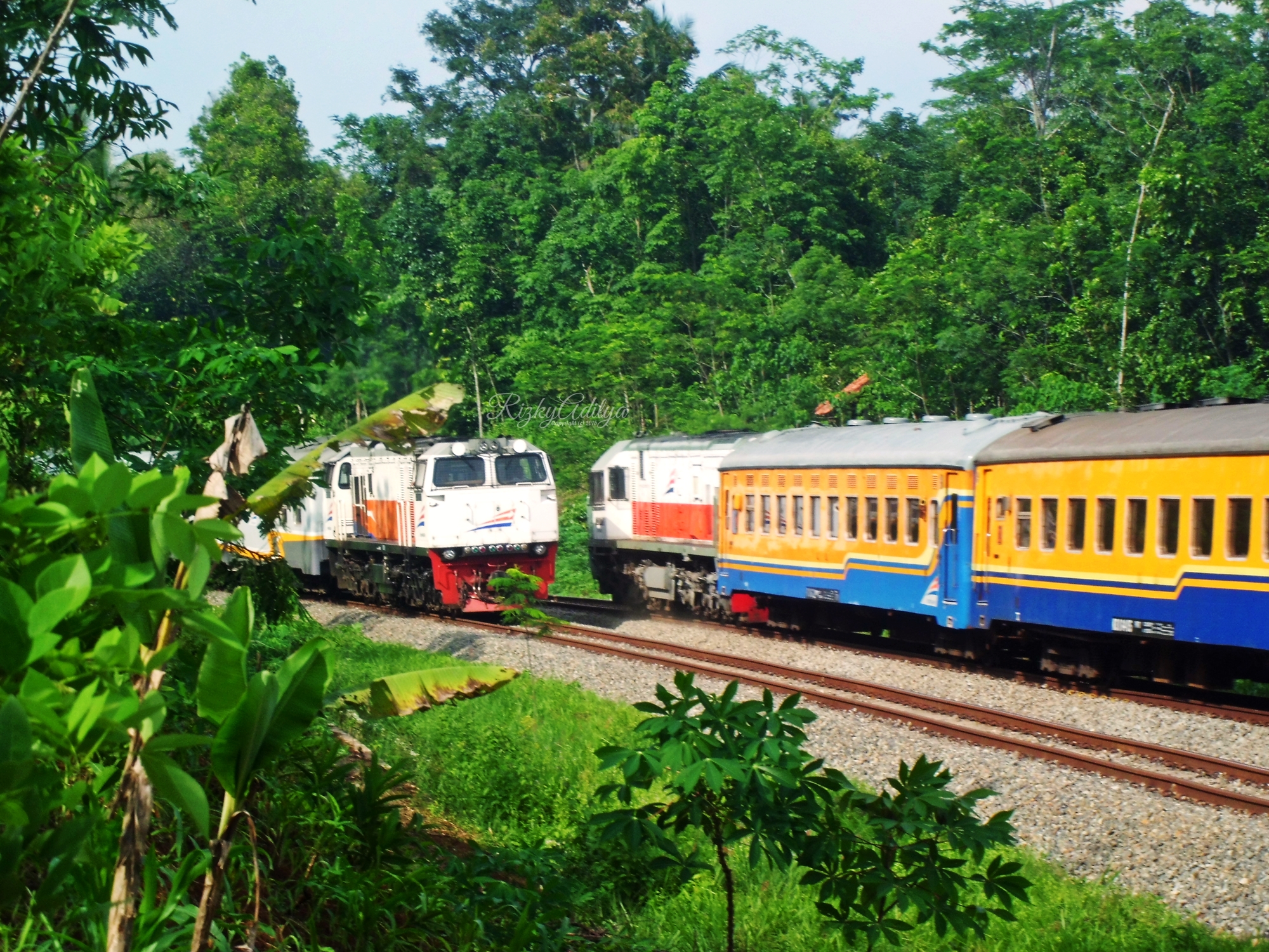 a train with colored cars traveling past trees