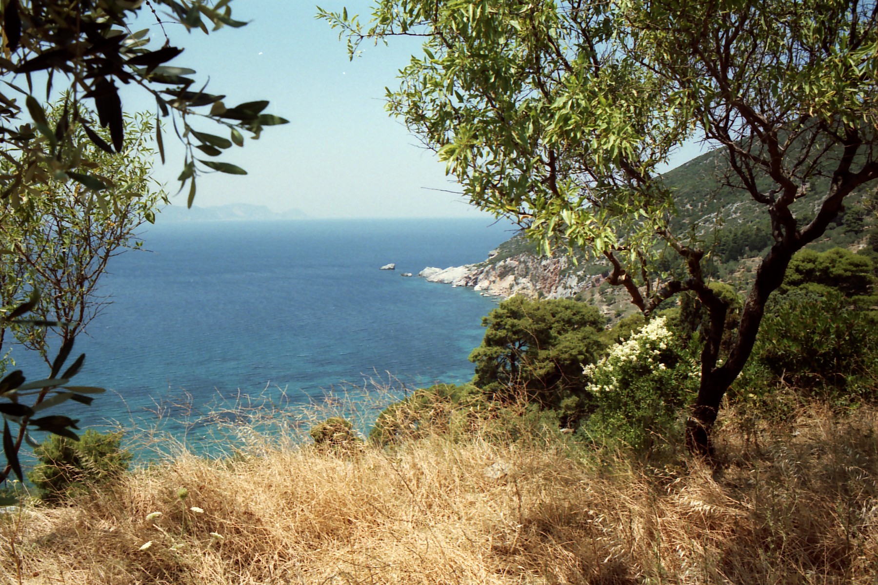 a view of the water from a hilltop
