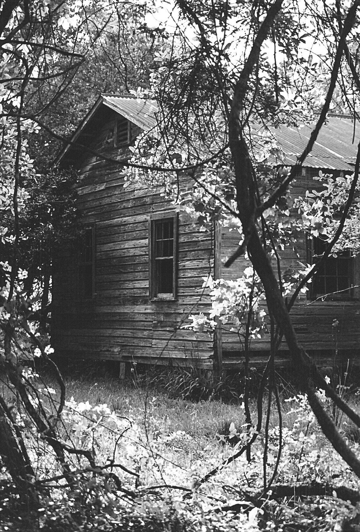 a black and white po of a cabin in the woods