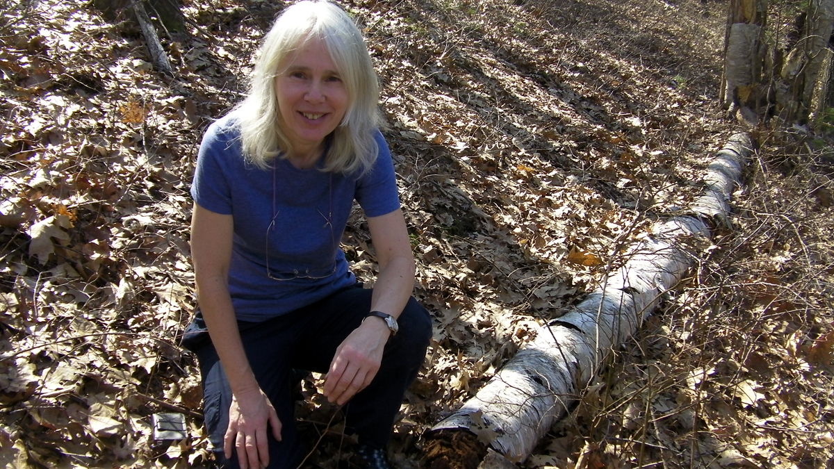 a smiling blond woman sitting near a fallen tree trunk