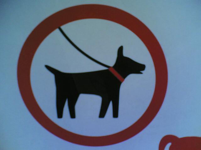 this is an image of a dog sign