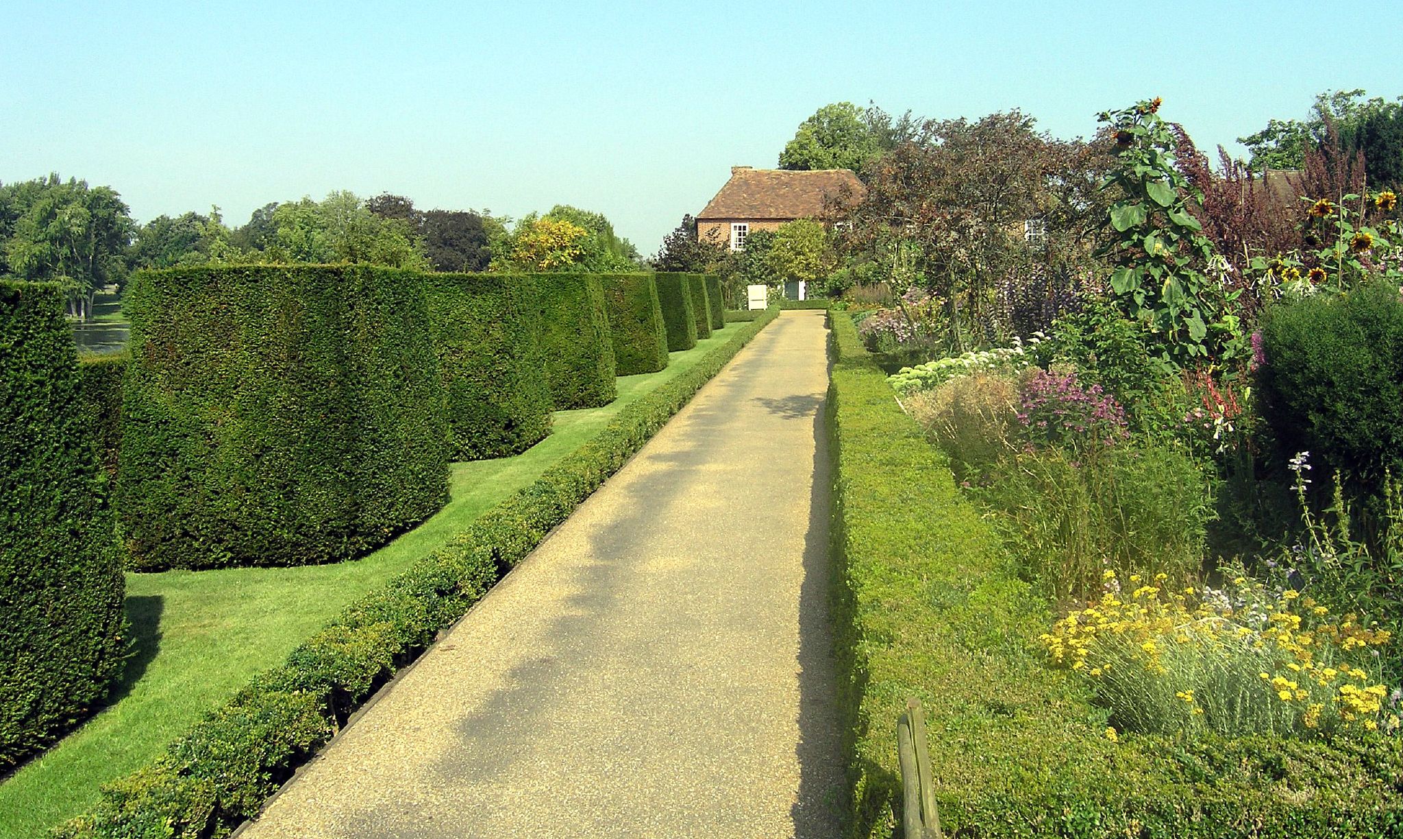 a view of a long path in a hedge garden