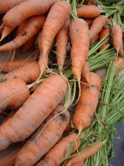 a bunch of carrots sitting on top of each other