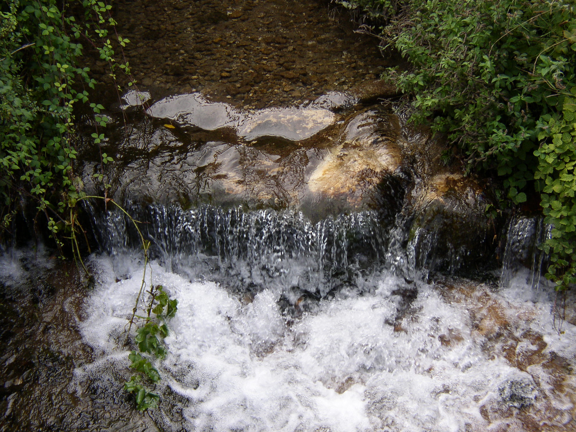 an image of a small waterfall with water and plants