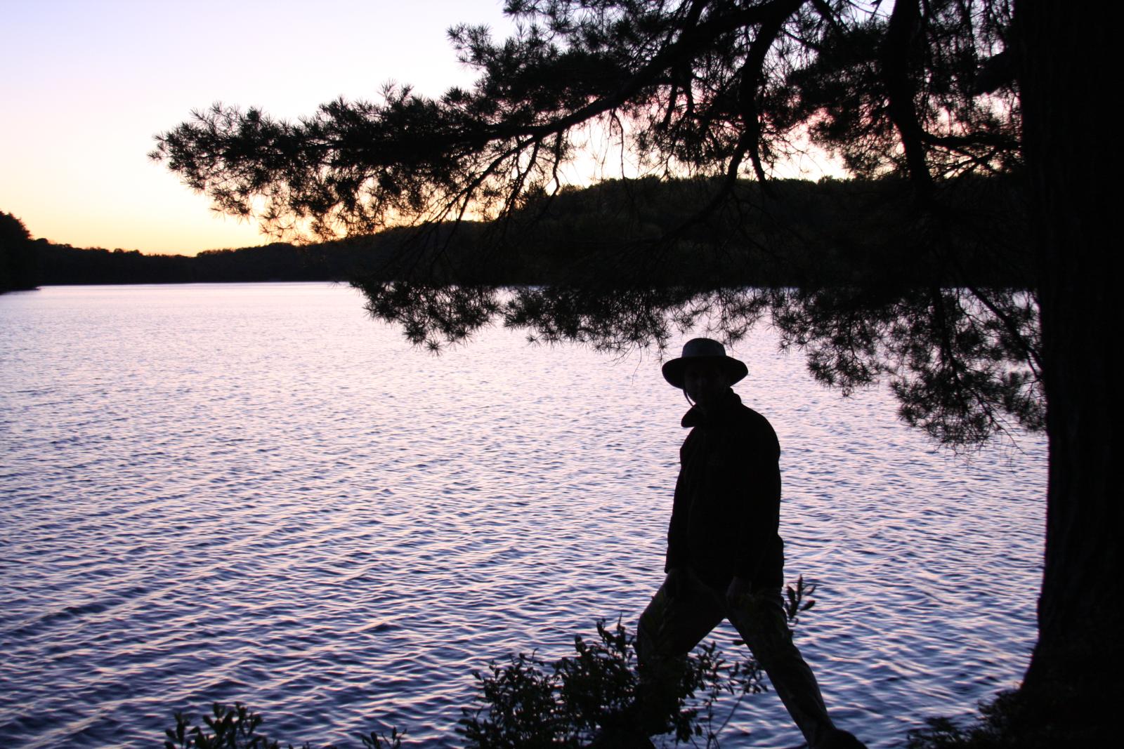 silhouette of man walking next to tree in front of large body of water