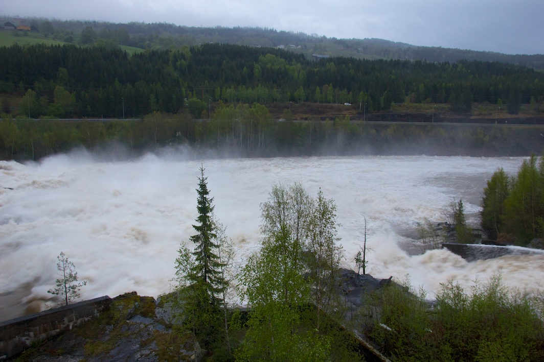 the dam is full of water and tall trees