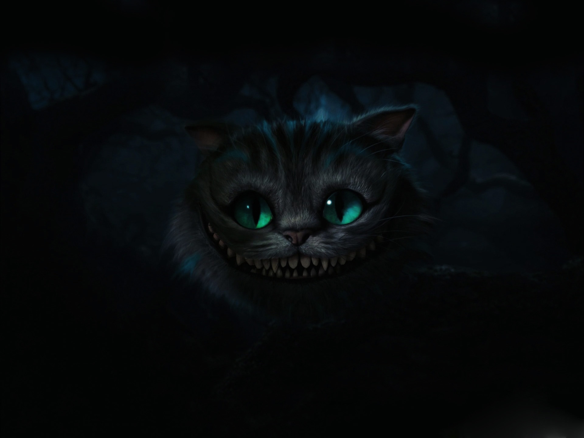 a cat with big green eyes in the dark