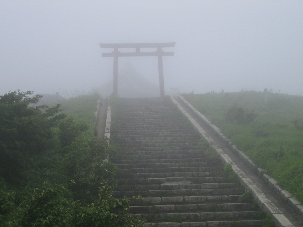 an area with a very steep set of stairs and green bushes