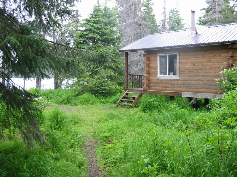 small cabin in woods with small ramp leading to it